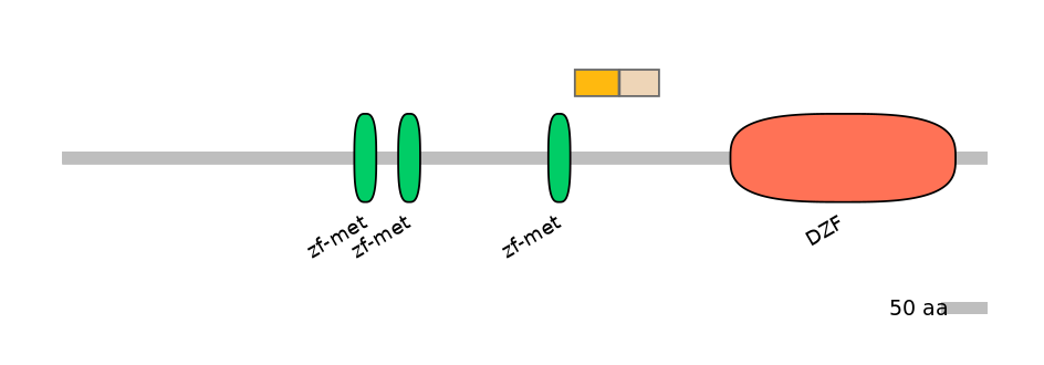 DreINT0177945-EXC
