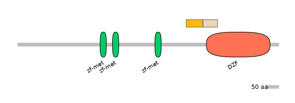 DreINT0177947-EXC