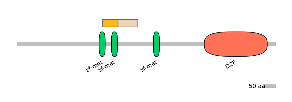 DreINT0177958-EXC
