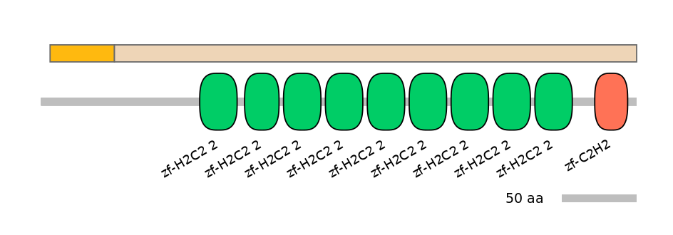 DreINT0178310-EXC