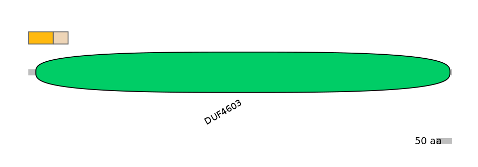DreINT0179409-EXC