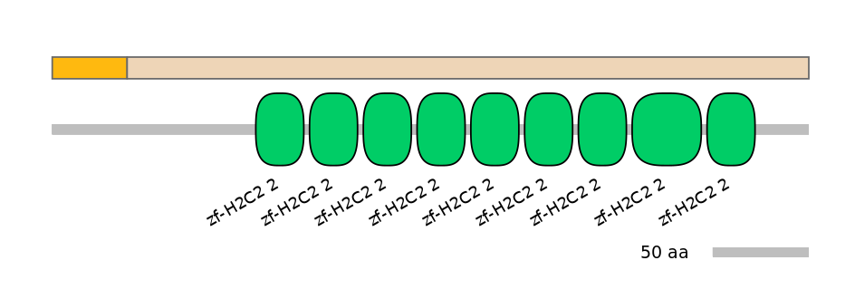 DreINT0179592-EXC