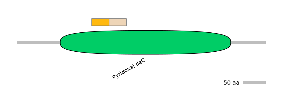 DreINT0179672-EXC
