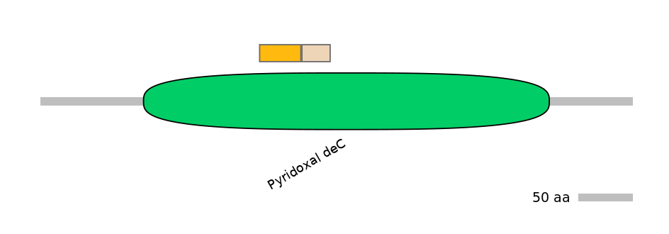 DreINT0179673-EXC