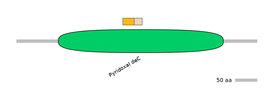 DreINT0179674-EXC
