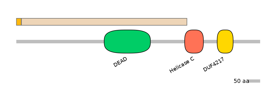 DmeALTA0003966-1_2-EXC