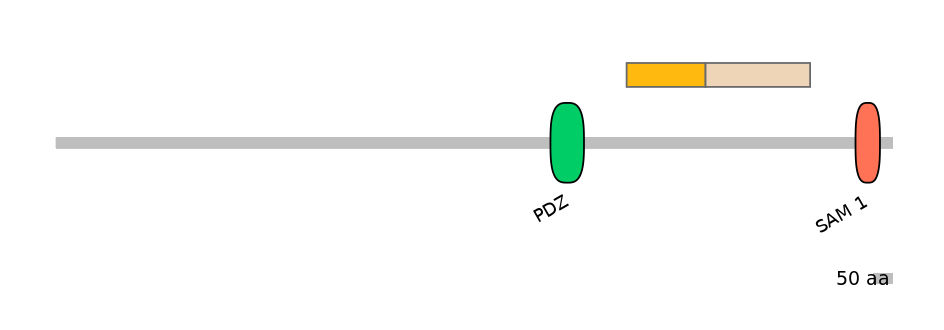 DmeALTA0007014-1_2-INC