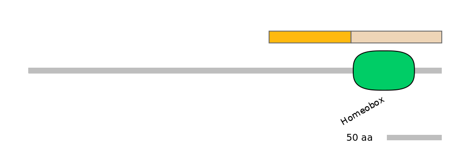 DmeALTD0000192-1_2-EXC