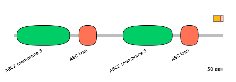 DmeALTD0001498-3_3-EXC