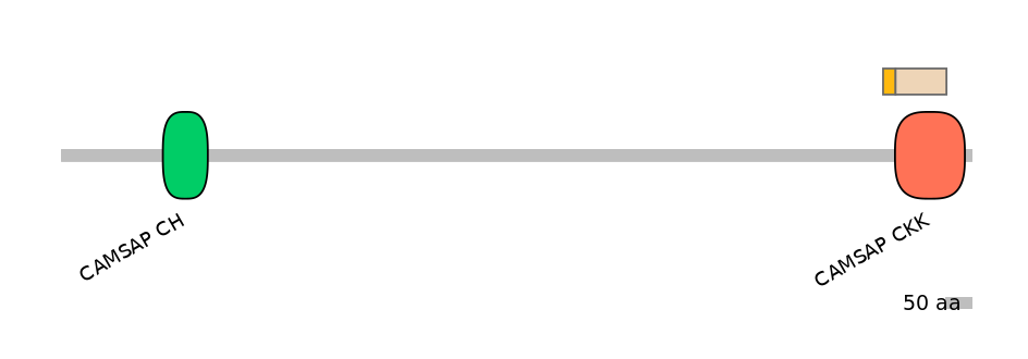 DmeALTD0005980-1_2-INC