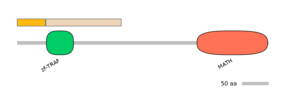 DmeALTD0007047-1_4-EXC