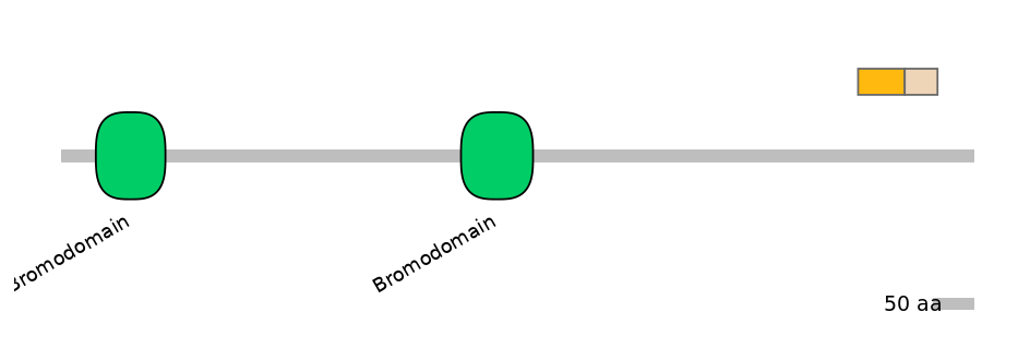 DmeALTD0008002-1_2-EXC
