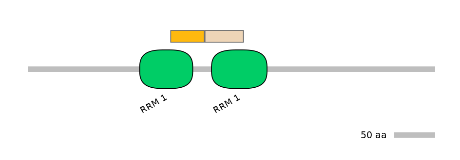 DmeALTD0009095-1_2-EXC
