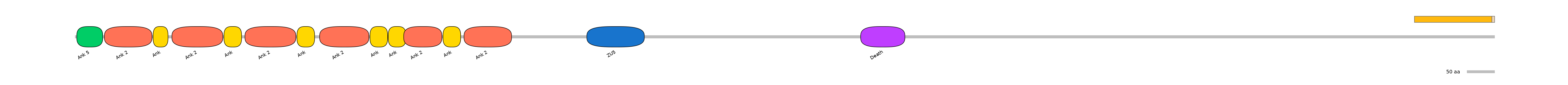 DmeEX0000207-EXC