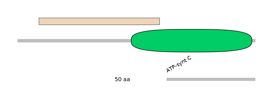 DmeEX0001223-EXC