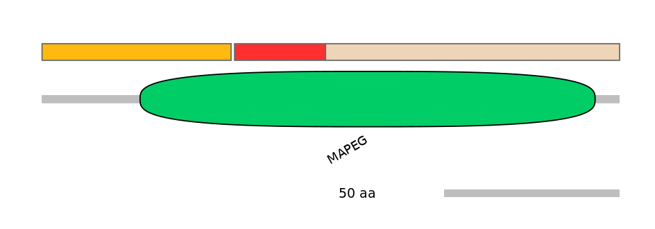 DmeEX0001888-INC