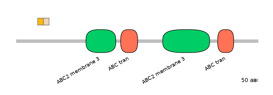 DmeEX0001964-EXC