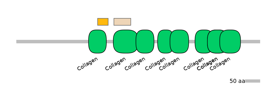 DmeEX0002312-EXC