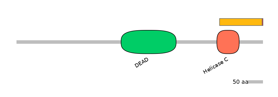 DmeEX0003248-INC