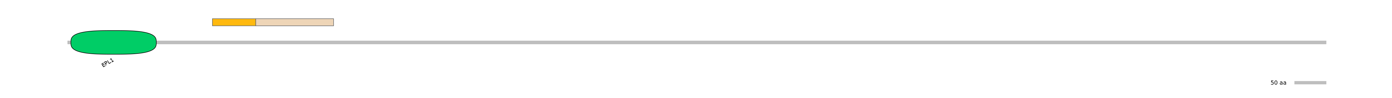 DmeEX0004197-EXC