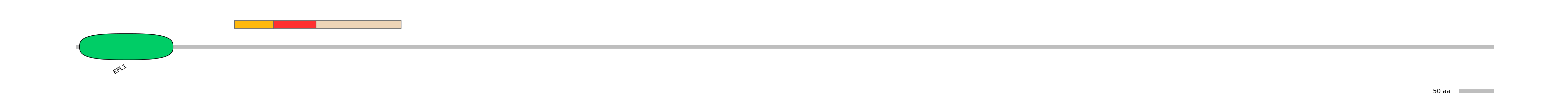 DmeEX0004197-INC