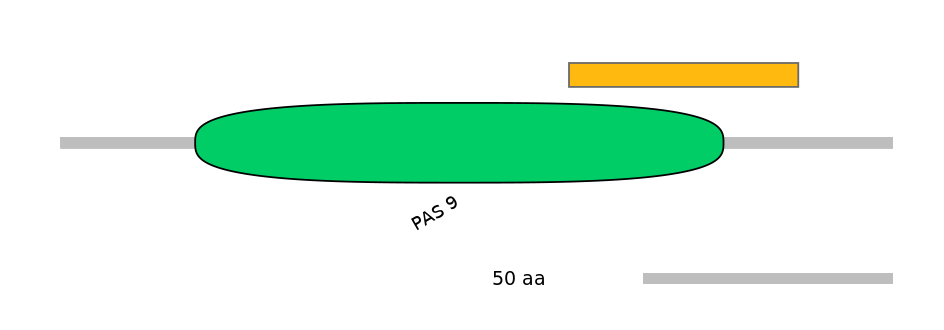 DmeEX0004282-EXC