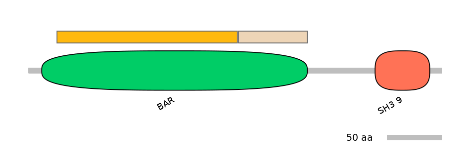 DmeEX0004286-EXC