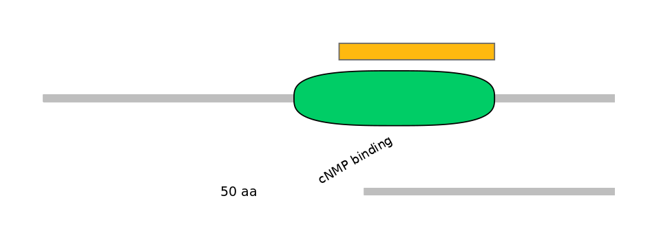 DmeEX0004289-EXC