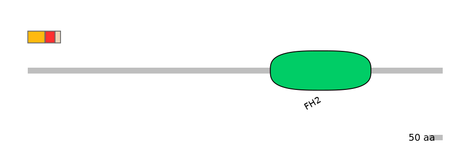 DmeEX0004372-INC