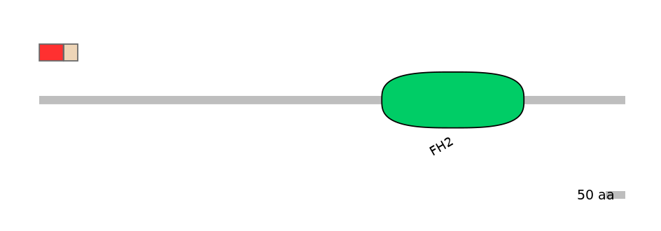 DmeEX0004375-INC