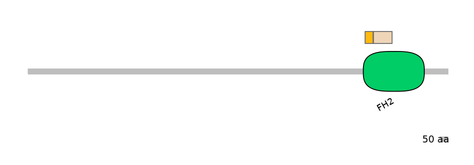 DmeEX0004376-INC