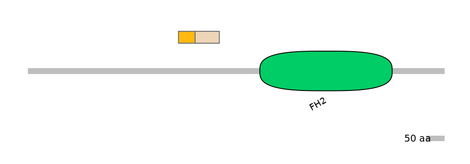 DmeEX0004377-EXC