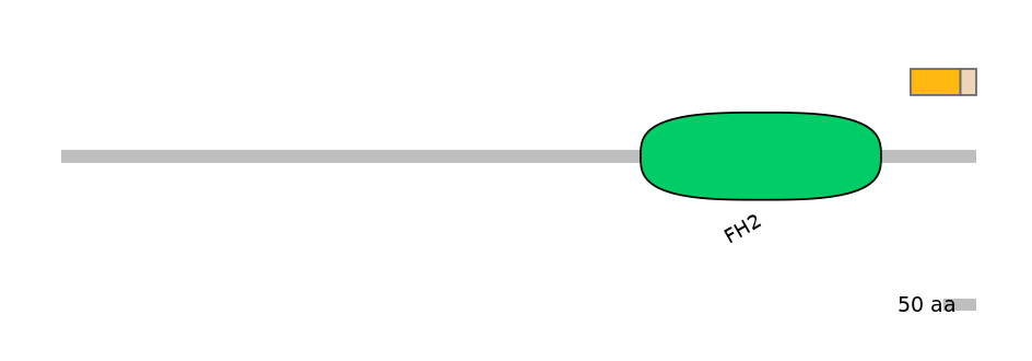 DmeEX0004382-EXC