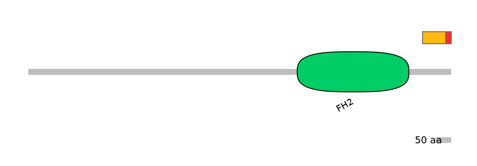 DmeEX0004382-INC
