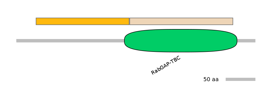 DmeEX0004451-EXC