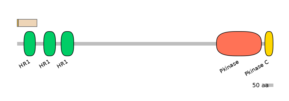 DmeEX0005782-EXC