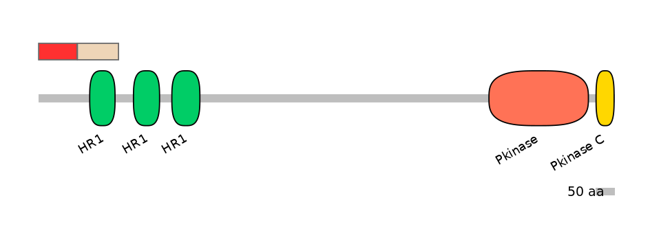 DmeEX0005782-INC