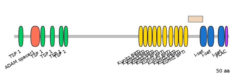 DmeEX0005824-EXC