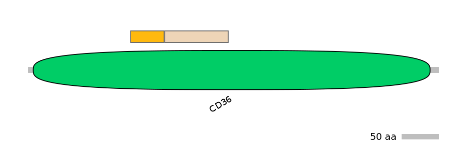 DmeEX0006503-EXC