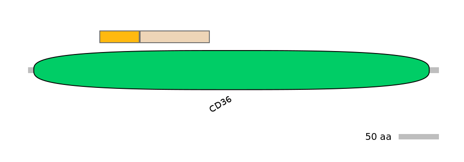 DmeEX0006504-EXC