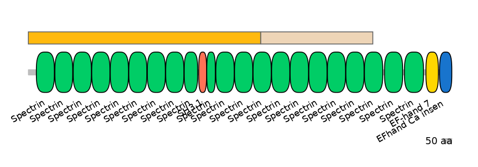 DmeEX0007125-EXC