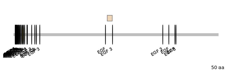 DmeEX0007669-EXC