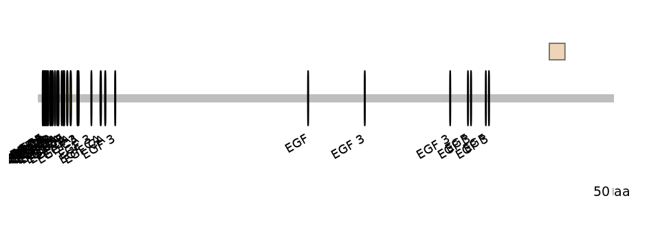 DmeEX0007681-EXC