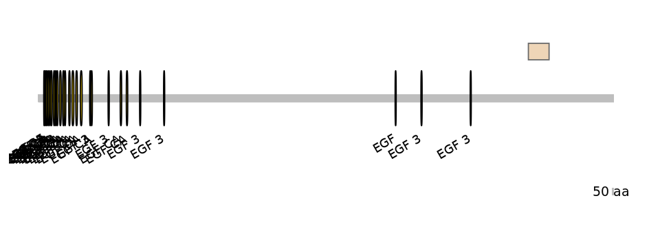 DmeEX0007695-EXC