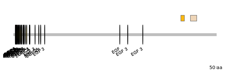 DmeEX0007696-EXC