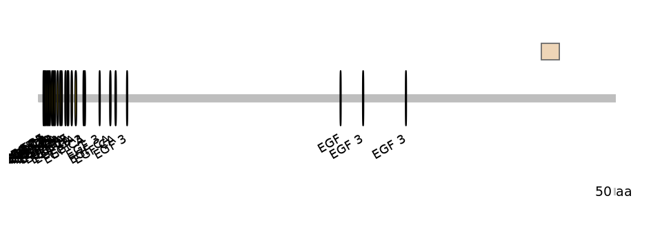 DmeEX0007701-EXC