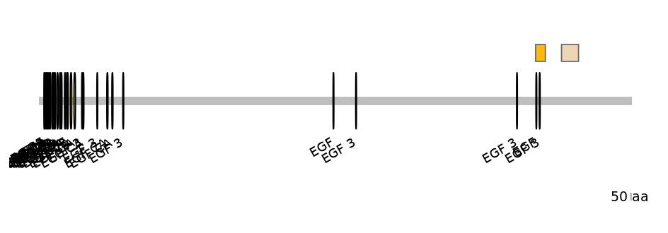DmeEX0007710-EXC