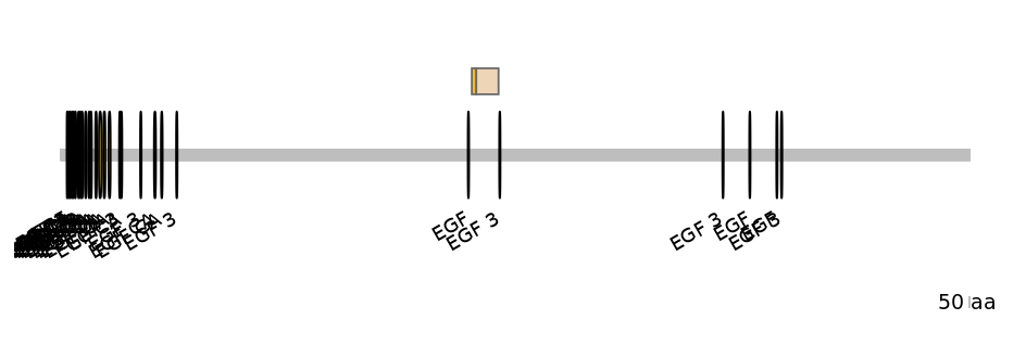 DmeEX0007711-EXC