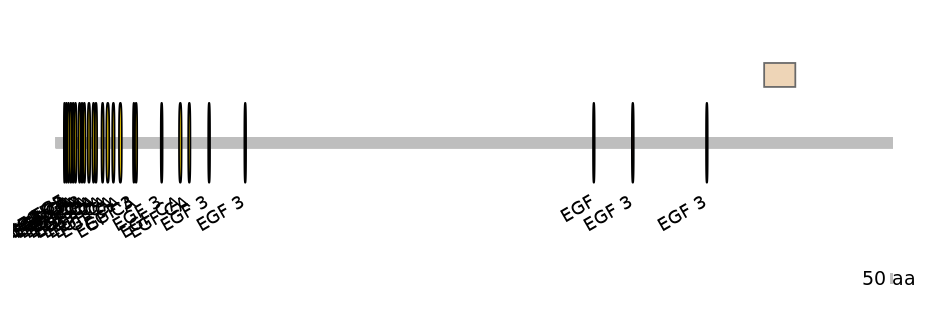 DmeEX0007716-EXC