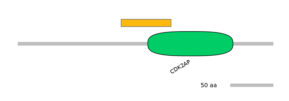 DmeEX0008592-EXC